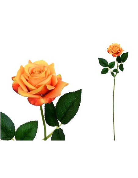 VARA ROSITA CLASIC (S)- 64CM (TE)