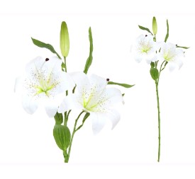 VARA LILIUM R/TOUCH (S)X 3-70CM (BLANCO)