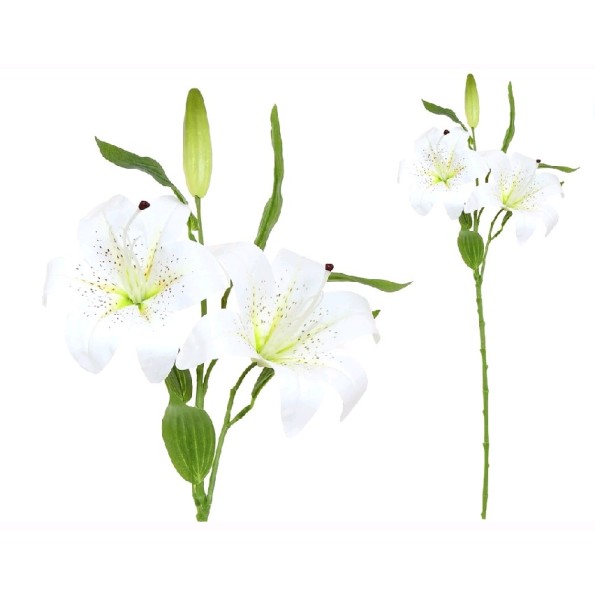 VARA LILIUM R/TOUCH (S)X 3-70CM (BLANCO)