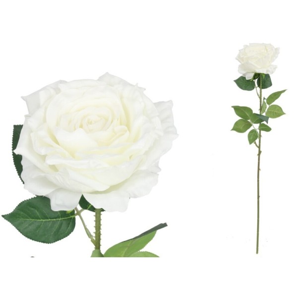 VARA ROSA QUEEN - 74 CM (BLANCO)