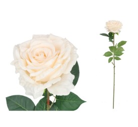 VARA ROSA QUEEN - 74 CM (BEIGE)