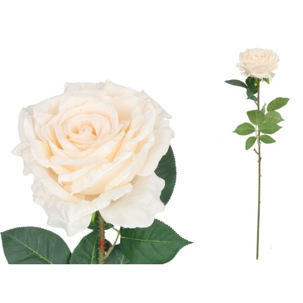 VARA ROSA QUEEN - 74 CM (BEIGE)