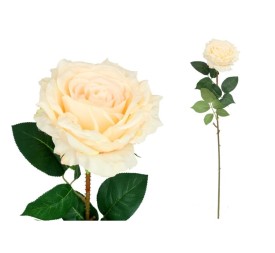 VARA ROSA QUEEN - 74 CM (CREMA)
