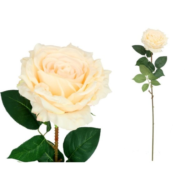 VARA ROSA QUEEN - 74 CM (CREMA)