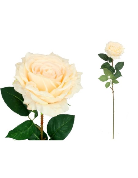 VARA ROSA QUEEN - 74 CM (CREMA)