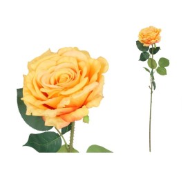 VARA ROSA QUEEN - 74 CM (TE)