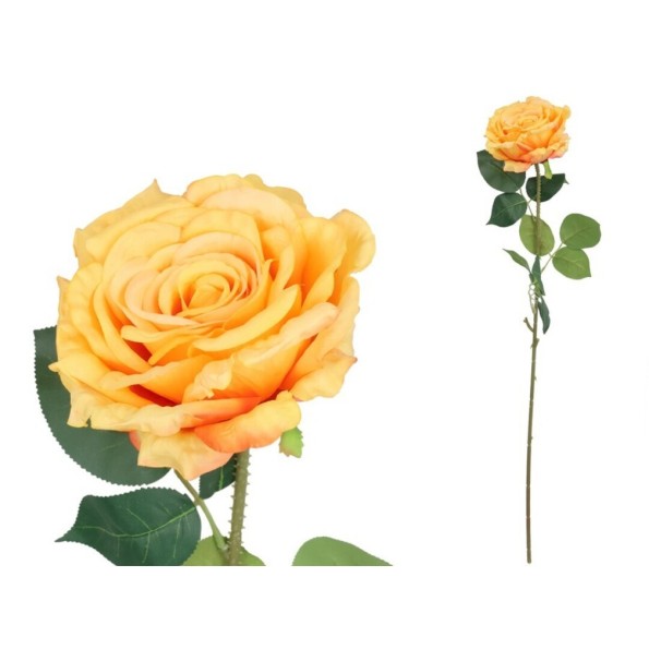 VARA ROSA QUEEN - 74 CM (TE)
