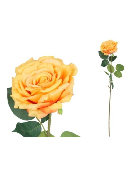 VARA ROSA QUEEN - 74 CM (TE)
