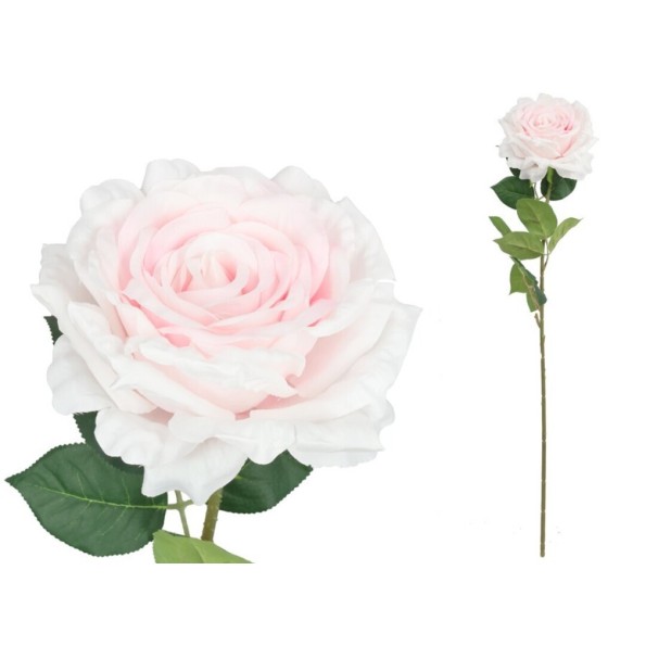 VARA ROSA QUEEN - 74 CM (ROSA)