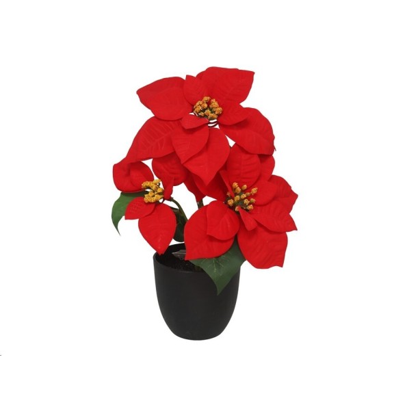 MACETA POINSETTIA X3 -34CM (ROJA)