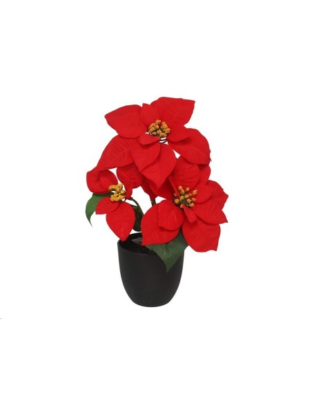 MACETA POINSETTIA X3 -34CM (ROJA)