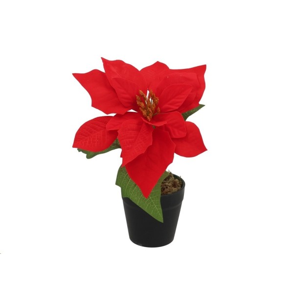 FLOR MACETA X1 20CM AMURIN