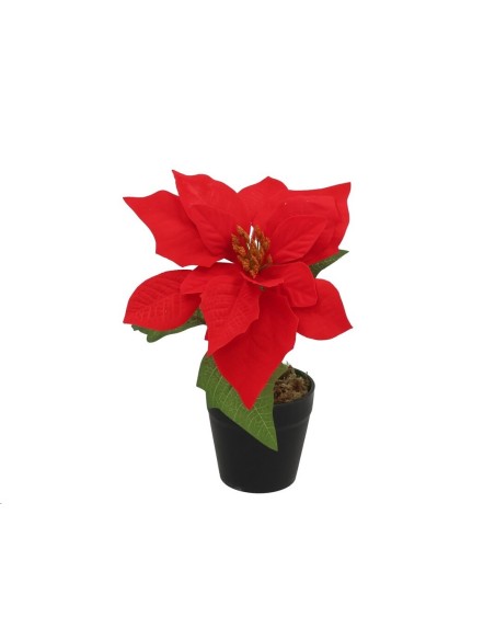 FLOR MACETA X1 20CM AMURIN