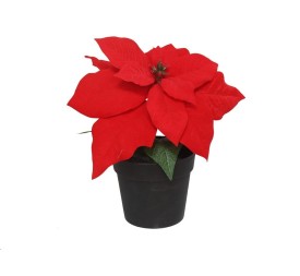 MACETA POINSETTIA 18X20CM (ROJA)