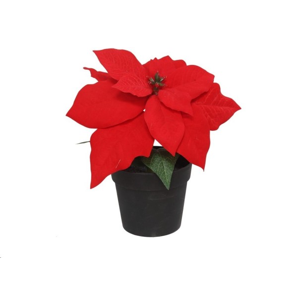 MACETA POINSETTIA 18X20CM (ROJA)