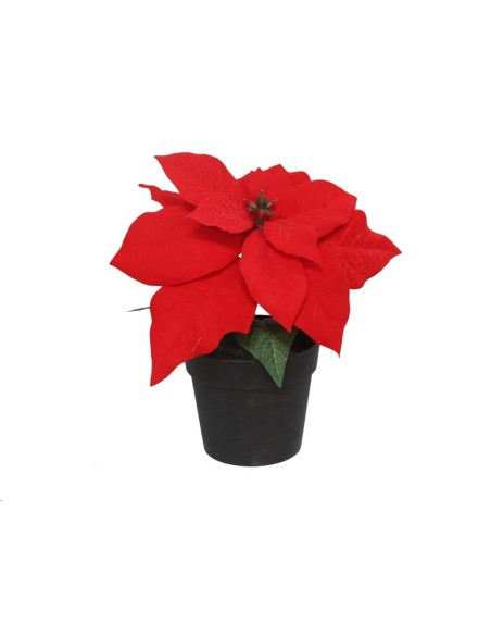 MACETA POINSETTIA 18X20CM (ROJA)