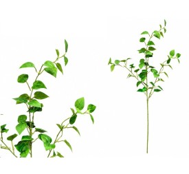 VARA PHILO X 3 - 80 CM (VERDE)