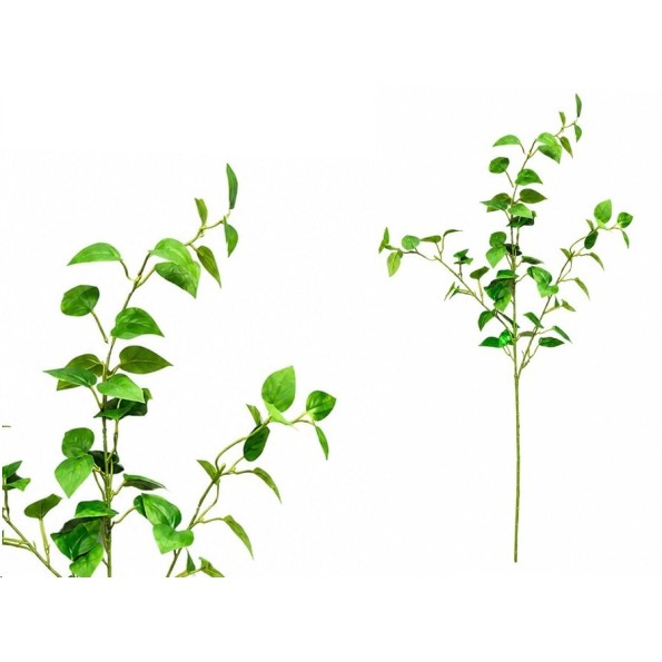 VARA PHILO X 3 - 80 CM (VERDE)