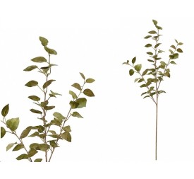 VARA PHILO X 3 - 80 CM (V/MARRON)