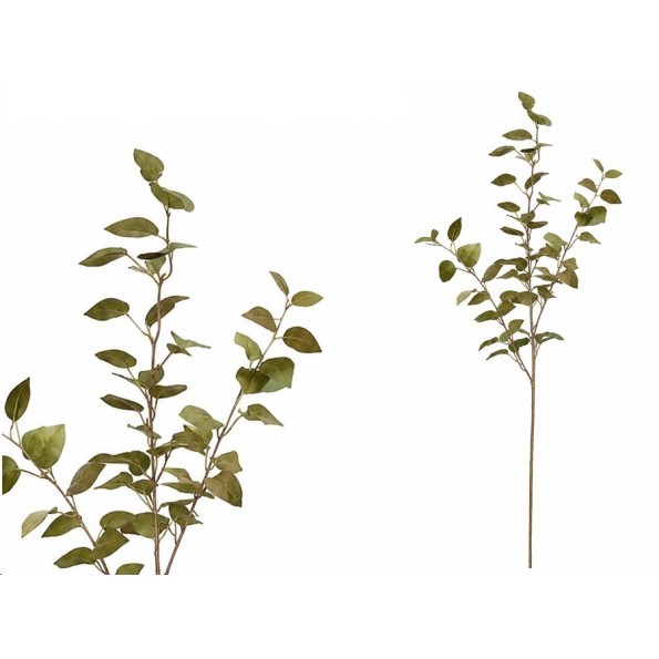 VARA PHILO X 3 - 80 CM (V/MARRON)