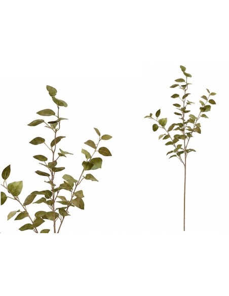 VARA PHILO X 3 - 80 CM (V/MARRON)
