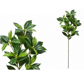 VARA FICUS R/T X 52 - 80 CM (VERDE)
