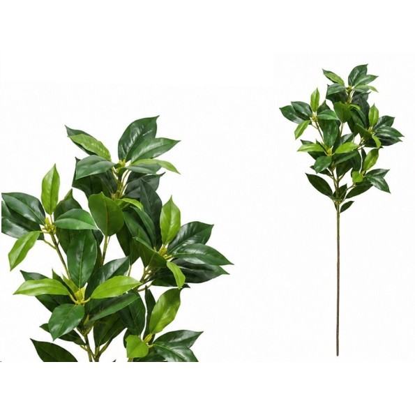 VARA FICUS R/T X 52 - 80 CM (VERDE)