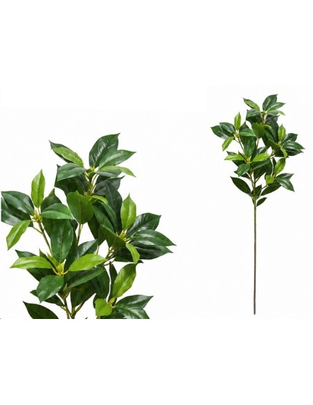 VARA FICUS R/T X 52 - 80 CM (VERDE)