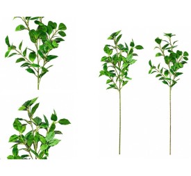 VARA FICUS-GINKO R/T X 47 - 76 CM (S)