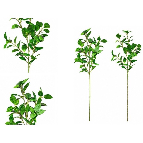 VARA FICUS-GINKO R/T X 47 - 76 CM (S)