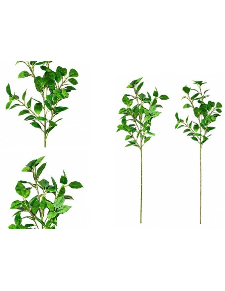 VARA FICUS-GINKO R/T X 47 - 76 CM (S)