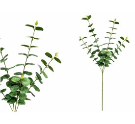 VARA EUCALIPTO X 5 - 88 CM (VERDE)