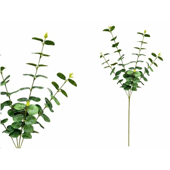 VARA EUCALIPTO X 5 - 88 CM (VERDE)