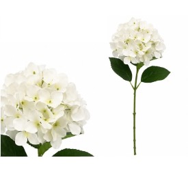 VARA HORTENSIA R/TOUCH - 64 CM (BLANCO)