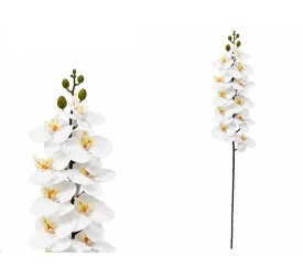 VARA ORQUIDEA X 11 R/TOUCH - 93 CM (BL)