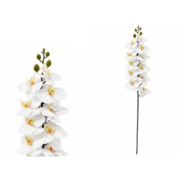 VARA ORQUIDEA X 11 R/TOUCH - 93 CM (BL)