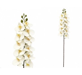 VARA ORQUIDEA X 11 R/TOUCH - 93 CM (CR)