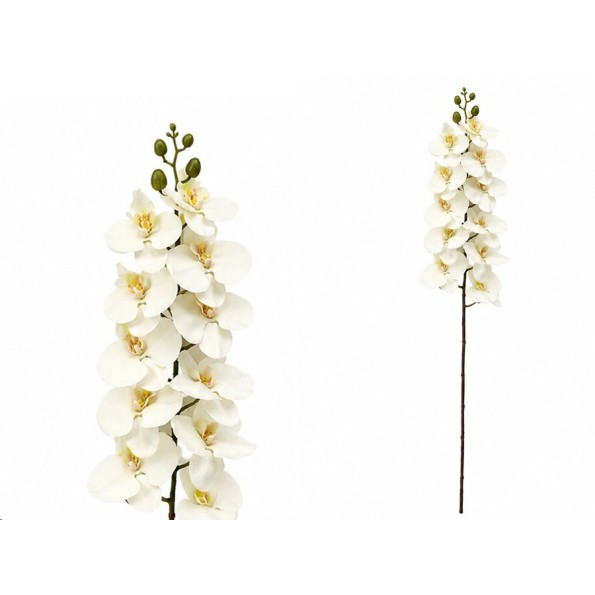 VARA ORQUIDEA X 11 R/TOUCH - 93 CM (CR)