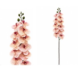VARA ORQUIDEA X 11 R/TOUCH - 93 CM (TE)