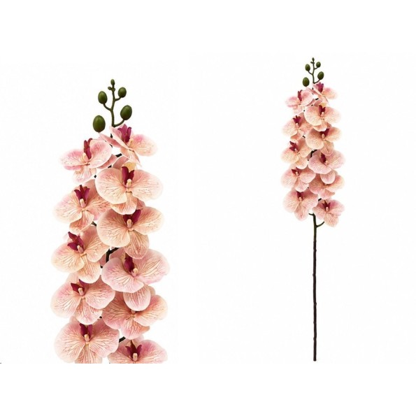 VARA ORQUIDEA X 11 R/TOUCH - 93 CM (TE)