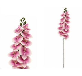 VARA ORQUIDEA X 11 R/TOUCH - 93 CM (FU)