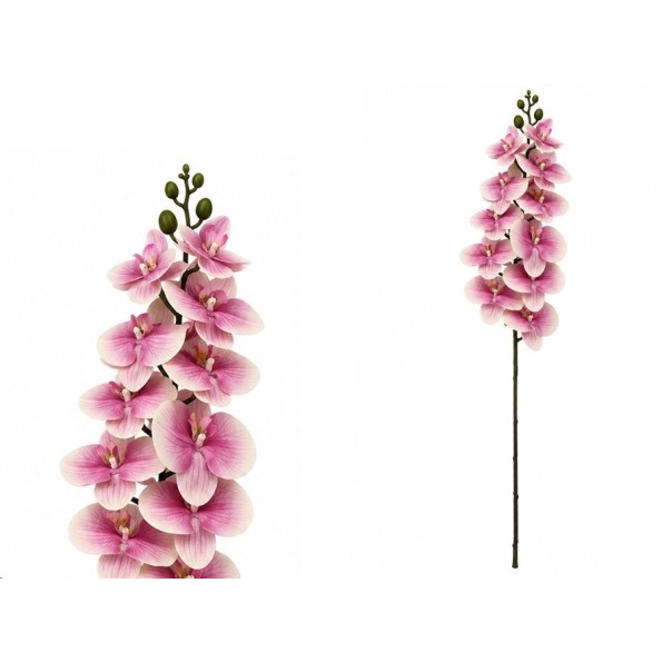 VARA ORQUIDEA X 11 R/TOUCH - 93 CM (FU)