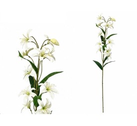 VARA LILIES R/T X 12-74 CM (BLANCO)