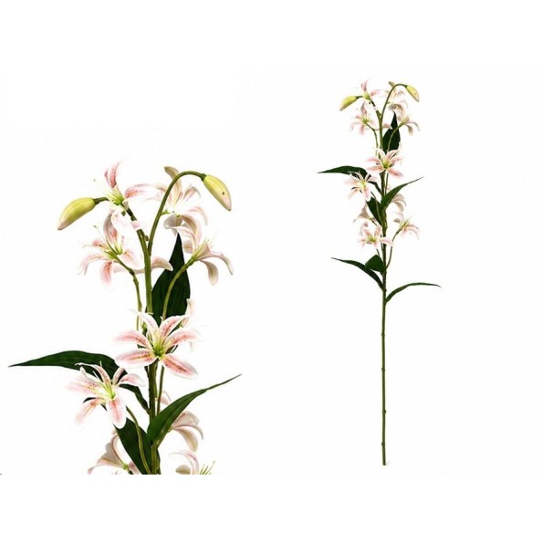 VARA LILIES R/T X 12-74 CM (TE)