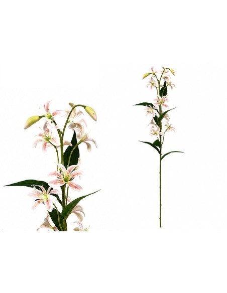 VARA LILIES R/T X 12-74 CM (TE)