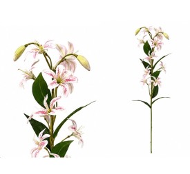 VARA LILIES R/T X 12-74 CM (ROSA)