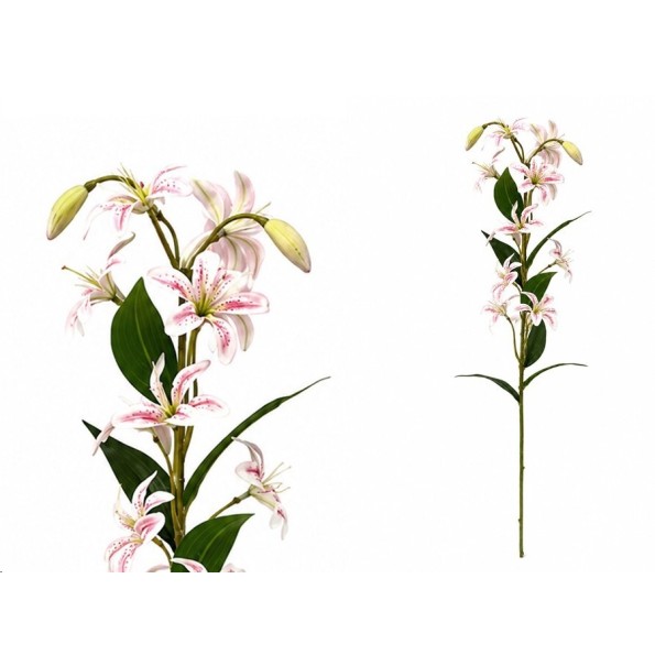 VARA LILIES R/T X 12-74 CM (ROSA)