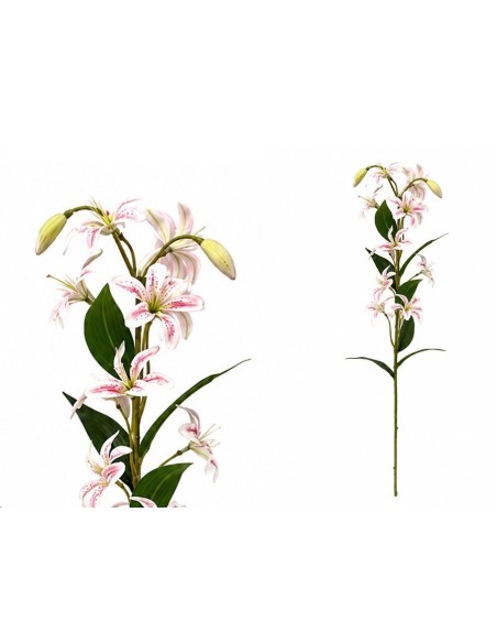 VARA LILIES R/T X 12-74 CM (ROSA)