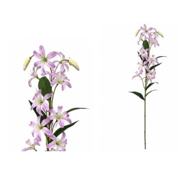 VARA LILIES R/T X 12-74 CM (VIOLETA)