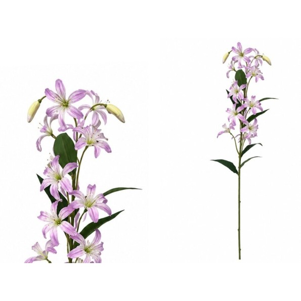 VARA LILIES R/T X 12-74 CM (VIOLETA)